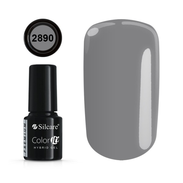 Color it! PREMIUM - Nr 2890 Silcare 4,30 €